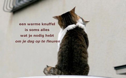 knuffelgoed_zpsa1335354.jpg