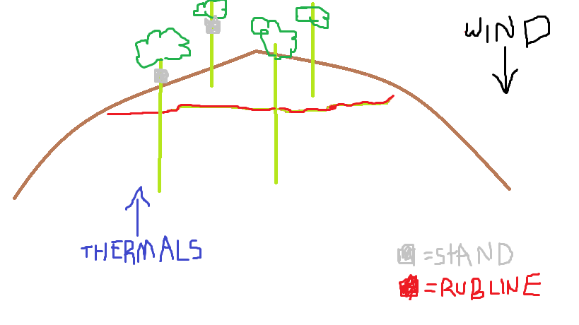 Hill Country Stand Placement The Hunting Beast