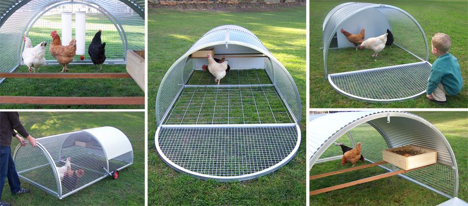 ROYAL ROOSTER Chicken Roll Chicken Coop Poultry House Hen Tractor ...