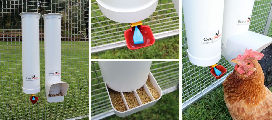 Details about ROYAL ROOSTER Chicken / Poultry Coop - Waterer / Drinker 