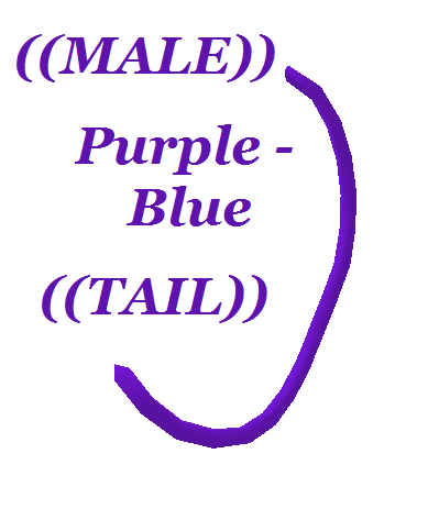 Purple-Blue(M)(Tail) photo Purple-BlueMTail389-463_zps053c52bc.png