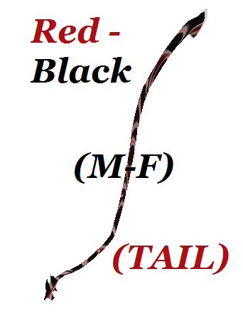 Red-Black(M-F)(TAIL) photo Red-BlackM-FTAIL342-444_zps2d7f9004.png