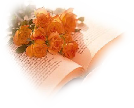  photo 04_zpsbcd5d9ed.png
