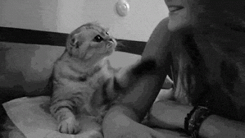  photo 3d075d6d_zpsd6e0c97b.gif