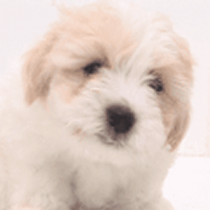  photo 5c743161_zps545edfb3.gif