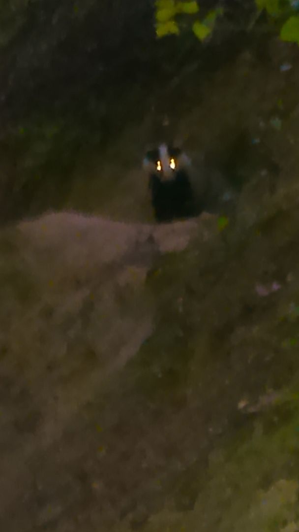 DSC_0038_zpshe3jwxdf.jpg