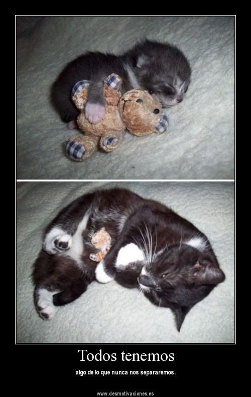 gripe gripe