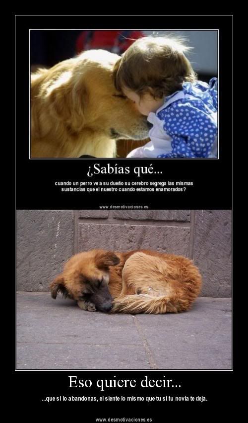 imagenes imagenes