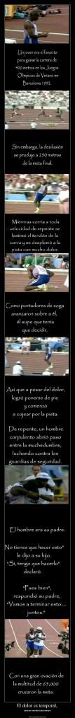 imagen imagen