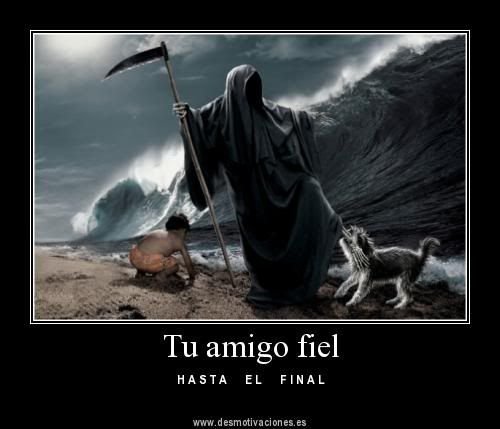 imagenes imagenes