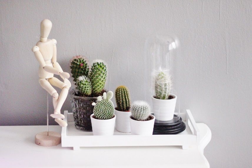 photo INTERIOR-FASHIONBLOG-SISTERSANDSISTERS1_zps66b026a3.jpg