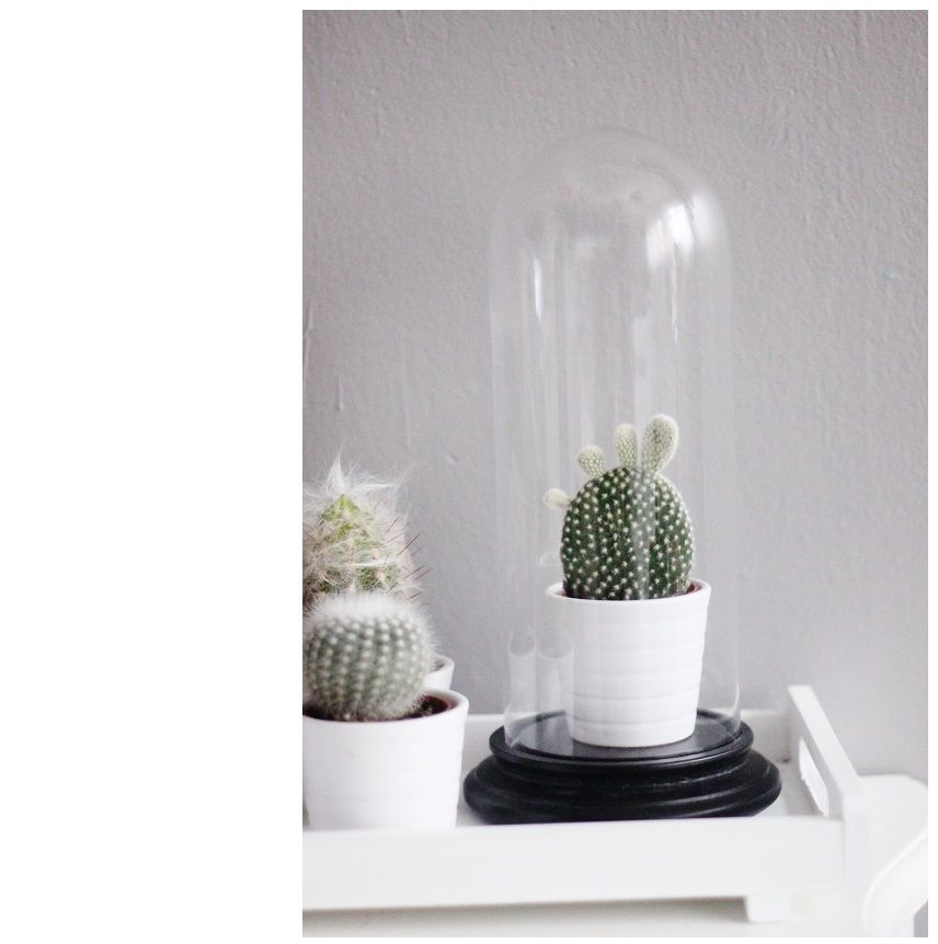 photo INTERIOR-FASHIONBLOG-SISTERSANDSISTERS2_zps1b1af866.jpg