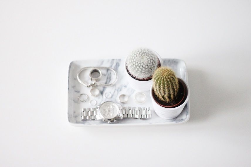 photo Marmer-cactus-interieur01_zps28719b21.jpg