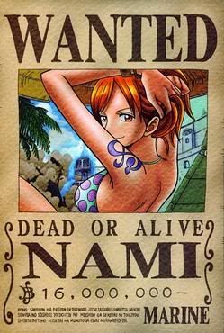 Nami Wanted One Piece