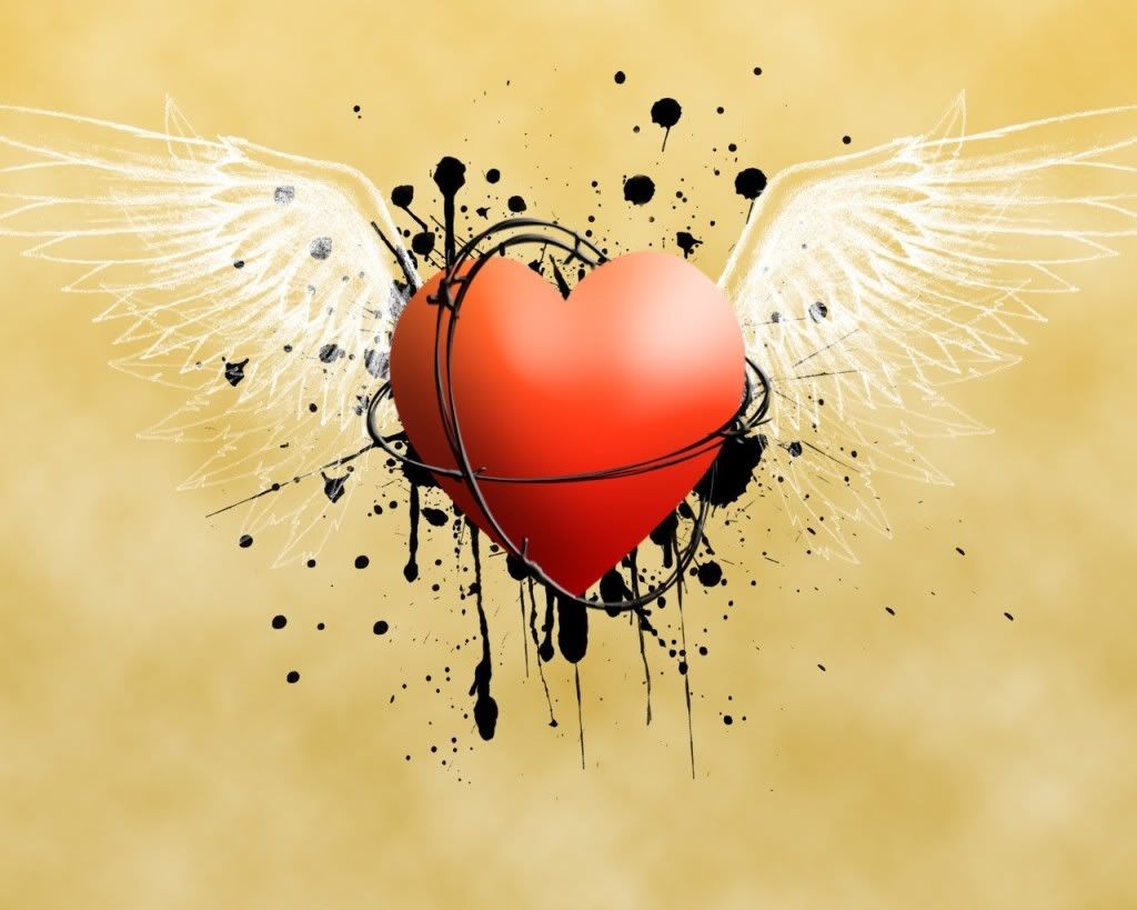 imagenes imagenes