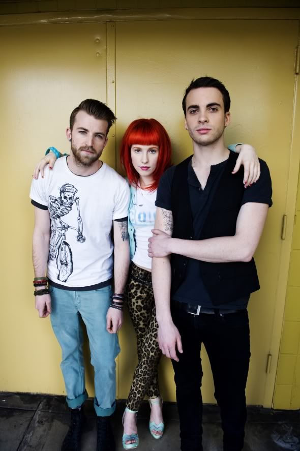 taylor york taylor york