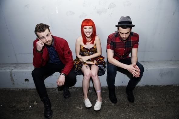 taylor york taylor york