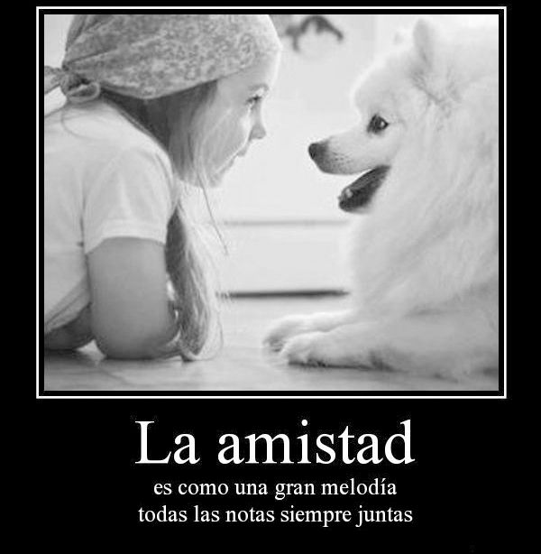  photo amigo4_zps80abe277.jpg