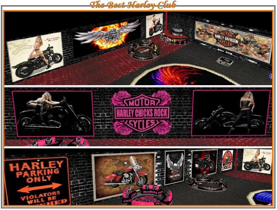 The Best Harley Club