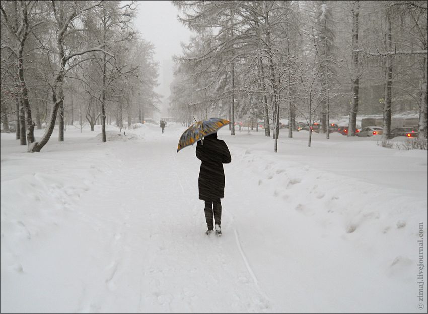 Снегопад, Москва, ул. Новочеремушкинская (фото zimaj)