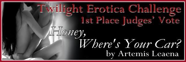 1st Place Judges' Vote Banner 1stPJV