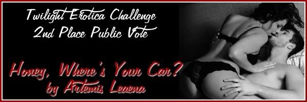 2nd Place Public Vote Banner 2ndPPV