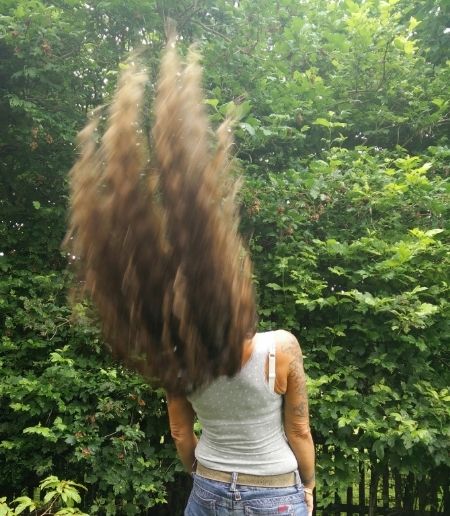 Bild