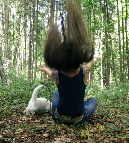 Bild