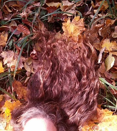 Bild