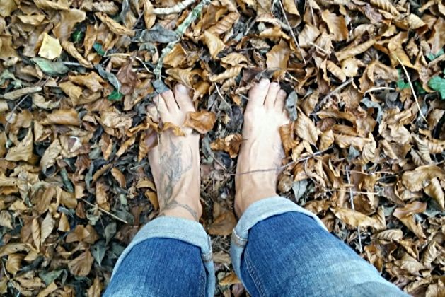 Bild