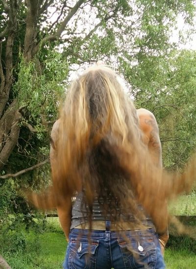 Bild