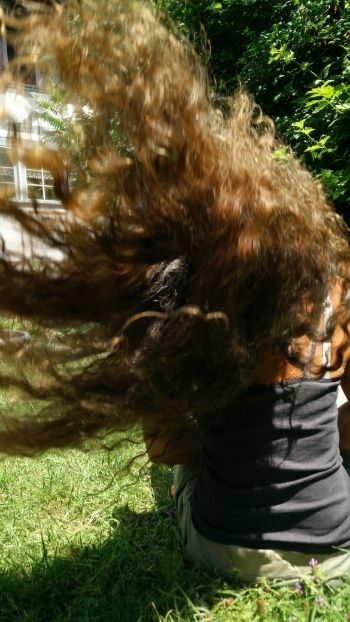 Bild
