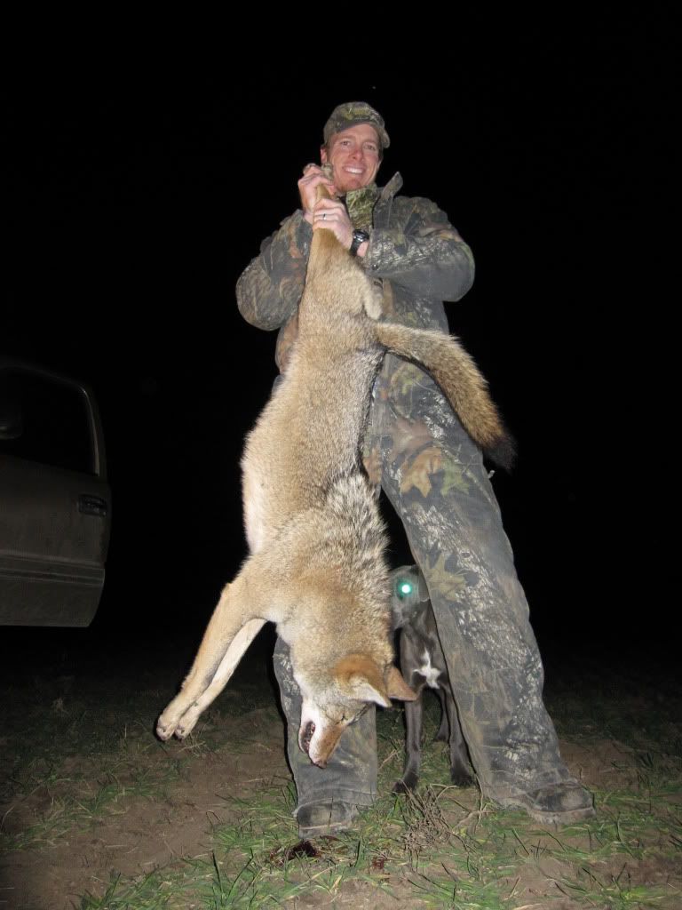 Biggest coyote ever??? Photos Texas Hunting Forum