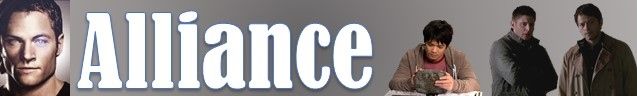 Alliance Banner