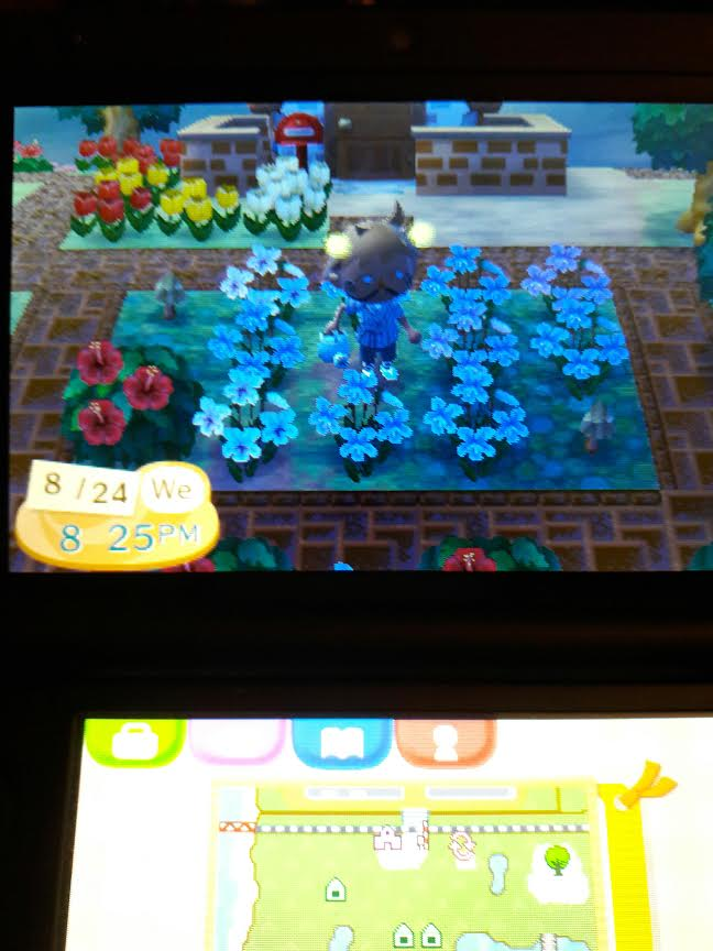 Can someone explain why my cedar saplings won't grow? r/AnimalCrossing
