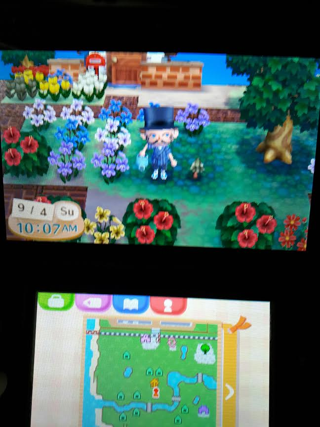 Can someone explain why my cedar saplings won't grow? r/AnimalCrossing