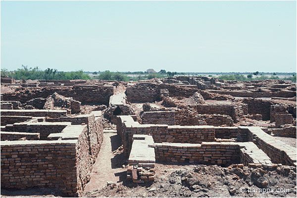 RuinsofMohenjo Daro TheLostCity7 - RuinsofMohenjo-Daro