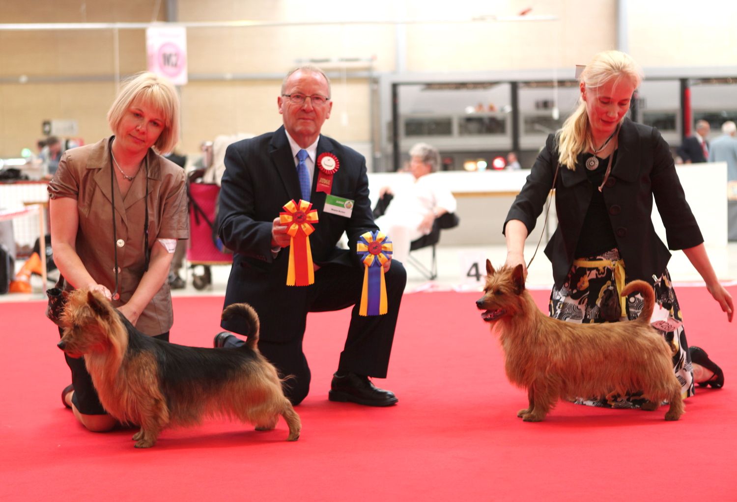 Winners at World Dog Show