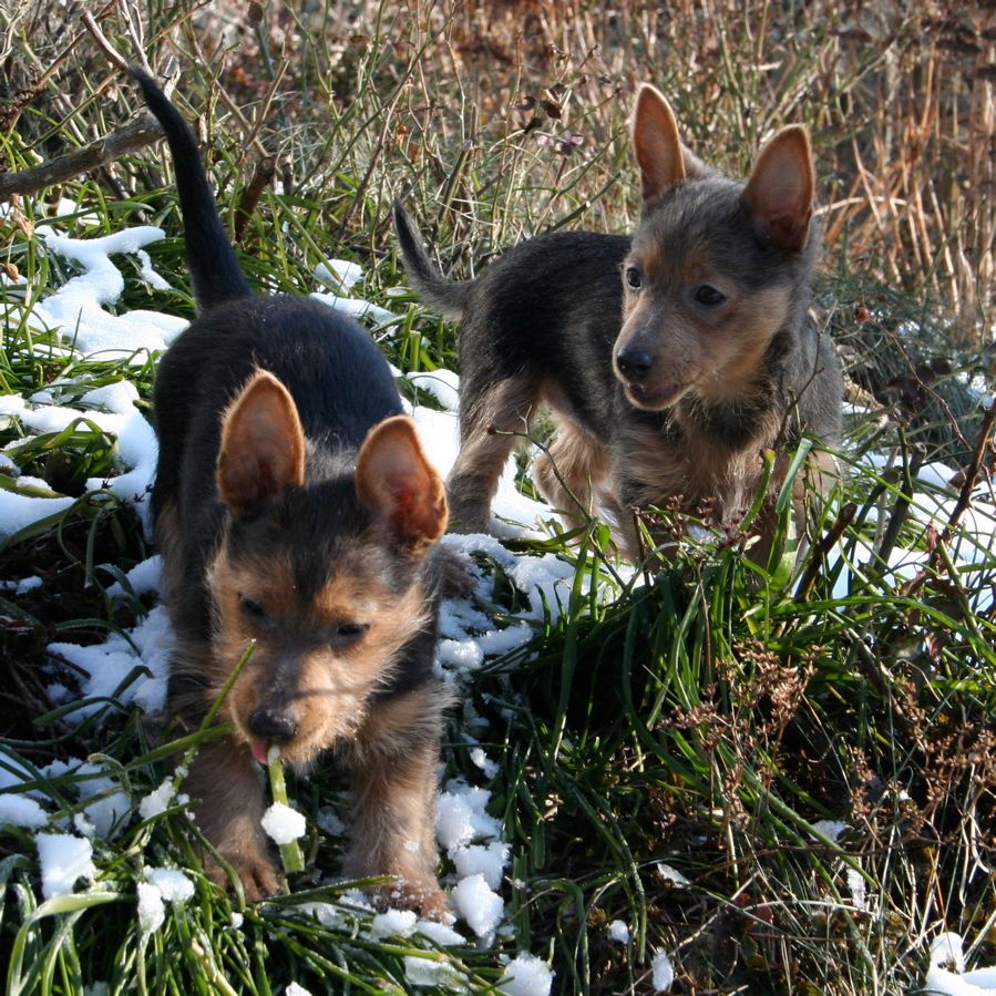 Light and Dark 11 weeks