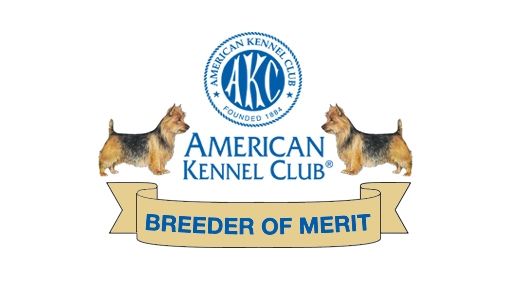 Breeder Of Merit Banner