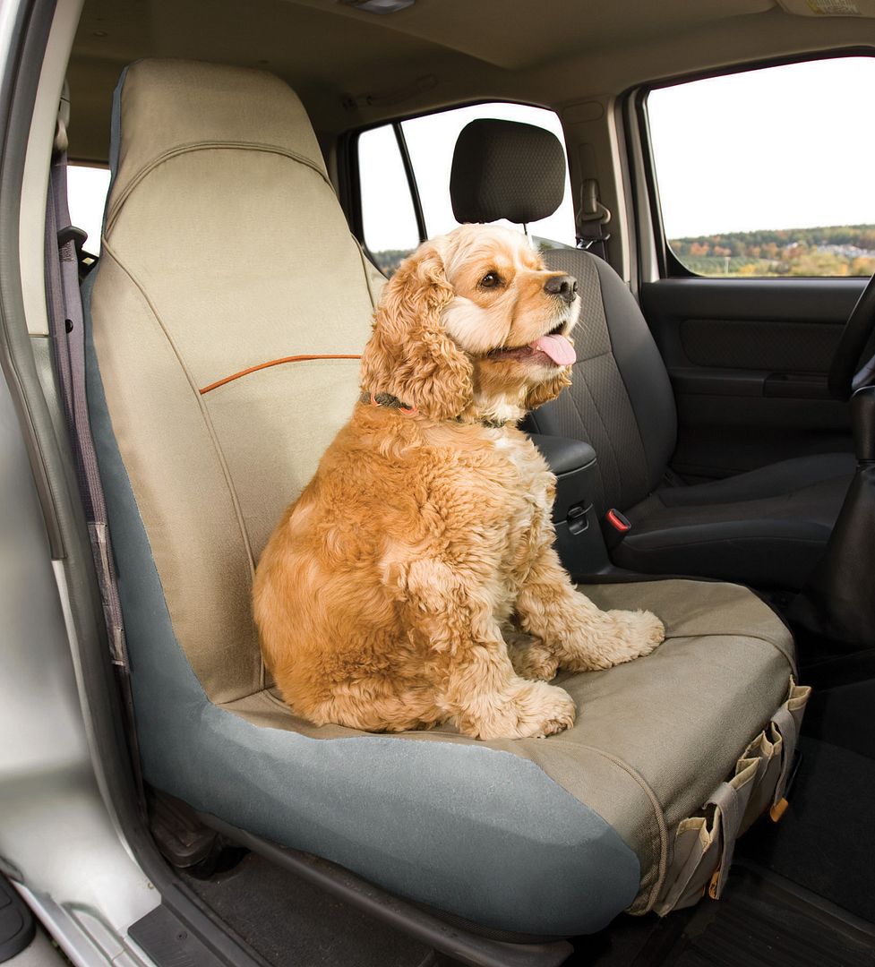 Co-Pilot seat cover