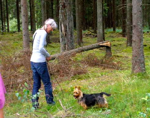 Ronja and Marianne Elmgren